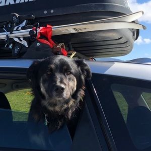 Meet your Posher, Rio